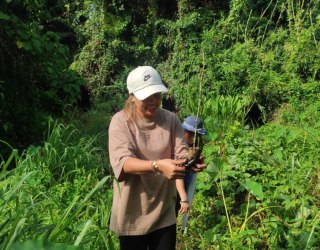 Tree Planting